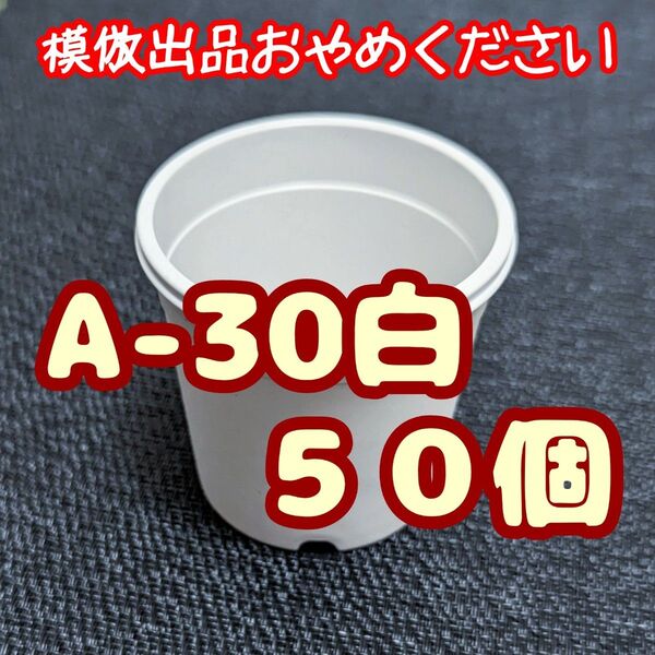 プラ鉢《A-30》白 50個 プラ鉢 3号相当 スリット鉢 多肉植物 プレステラ 植木鉢