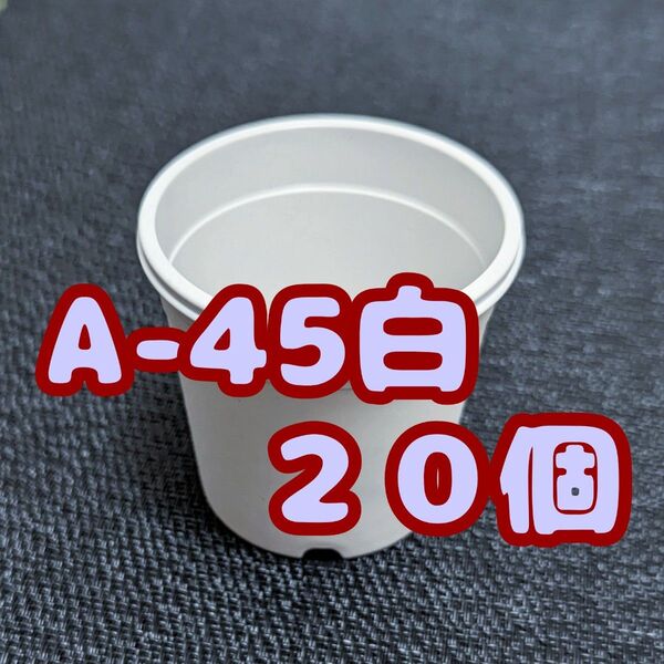 プラ鉢 《A-45》 白 20個 植木鉢 スリット鉢 多肉植物 丸 プレステラ