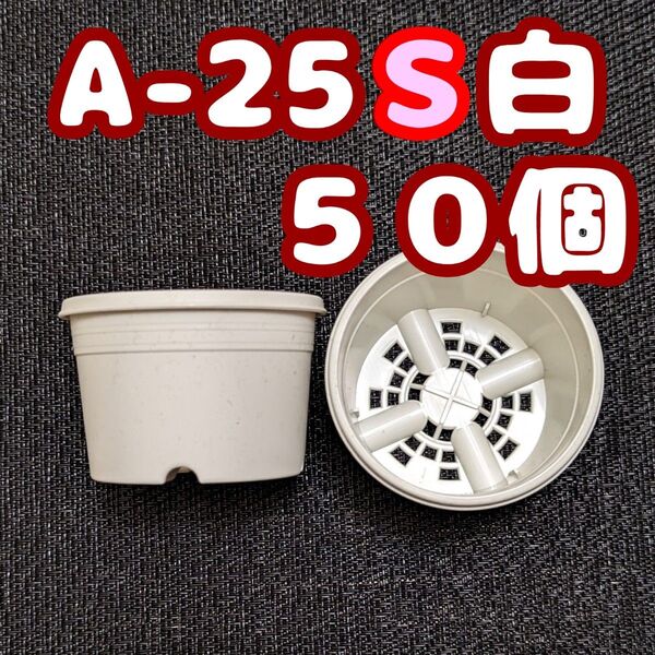 プラ鉢《A-25S》白 50個 プラ鉢 2.5号相当 スリット鉢 多肉植物 プレステラ 植木鉢