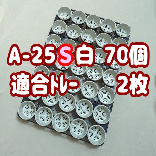 プラ鉢【A-25S】70個+専用システムトレー2枚スリット鉢プレステラ多肉植物