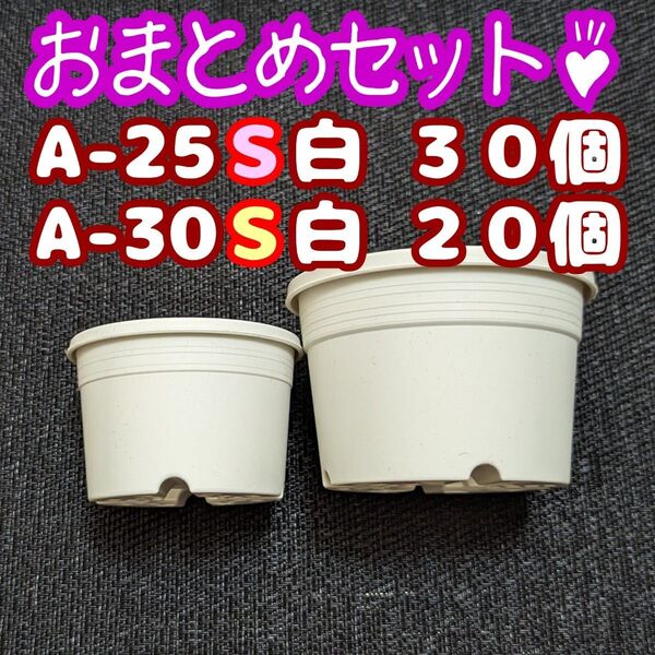プラ鉢50個おまとめセット♪【A-25S×30個・30S×20個】2.5号・3号鉢 相当 プレステラ多肉植物