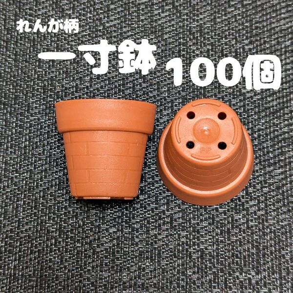 一寸鉢 100個セット 1号鉢 1号ポット 1号プラ鉢 プレステラ