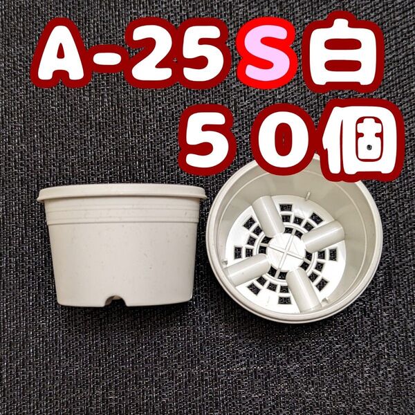 プラ鉢《A-25S》白 50個 プラ鉢 2.5号相当 スリット鉢 多肉植物 プレステラ 植木鉢