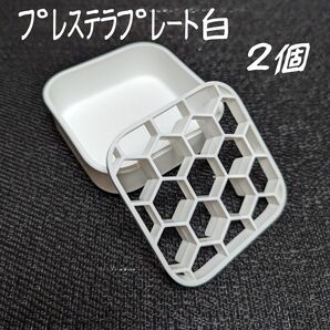 プレステラプレート白2個プラ鉢スリット鉢多肉植物R3LABO/UKEZARA