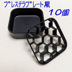 プレステラプレート黒10個プラ鉢スリット鉢多肉植物R3LABO/UKEZARA