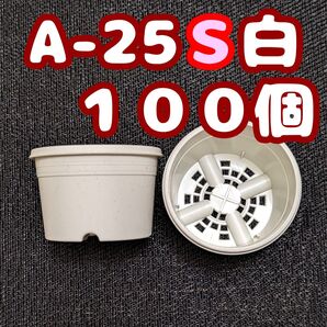 プラ鉢《A-25S》白 100個 プラ鉢 2.5号相当 スリット鉢 多肉植物 プレステラ 植木鉢