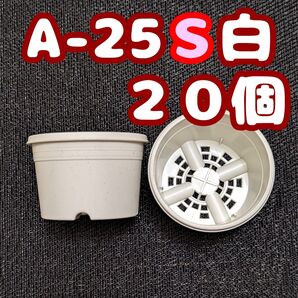 プラ鉢《A-25S》白 20個 プラ鉢 2.5号相当 スリット鉢 多肉植物 プレステラ 植木鉢