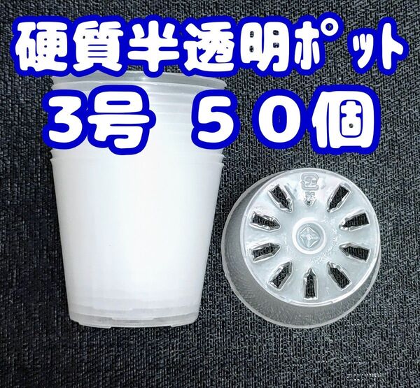 プラ鉢 硬質半透明ポリポット 3号 9cm 50個 多肉植物 プレステラ