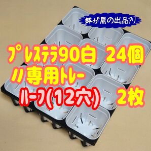 《プレステラ90白24個+専用システムトレー:ハーフ2枚》プラ鉢 スリット鉢 多肉植物
