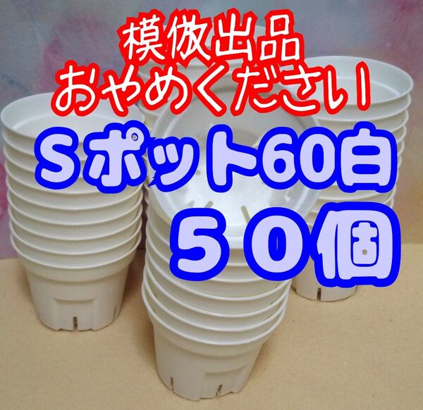 《Sポット60》 白 50個 スリット鉢 プラ鉢 2号相当 植木鉢 多肉植物 プレステラ 丸