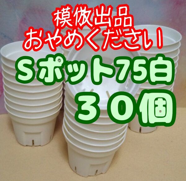 《Sポット75》 白 30個 スリット鉢 プラ鉢 2.5号相当 植木鉢 多肉植物 プレステラ 丸