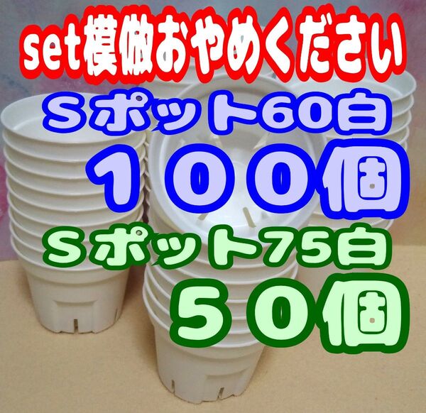 Sポット60白100個・75白50個スリット鉢プラ鉢2号鉢・2.5号鉢相当 多肉プレステラ