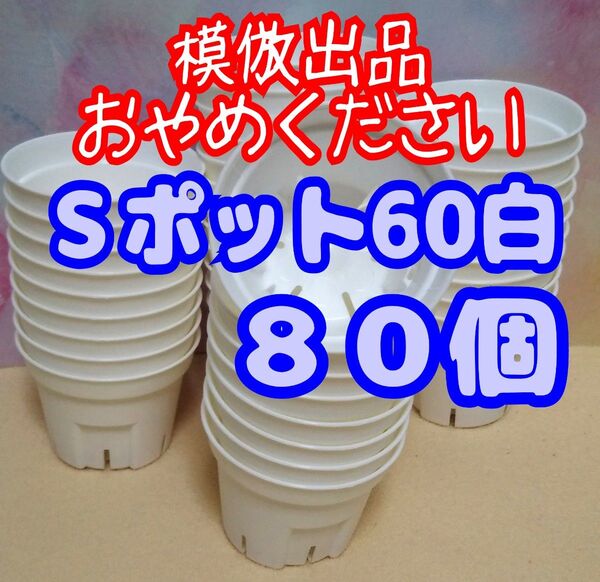 《Sポット60》 白 80個 スリット鉢 プラ鉢 2号相当 植木鉢 多肉植物 プレステラ 丸