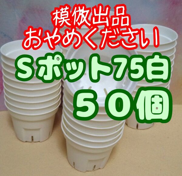 《Sポット75》 白 50個 スリット鉢 プラ鉢 2.5号相当 植木鉢 多肉植物 プレステラ 丸