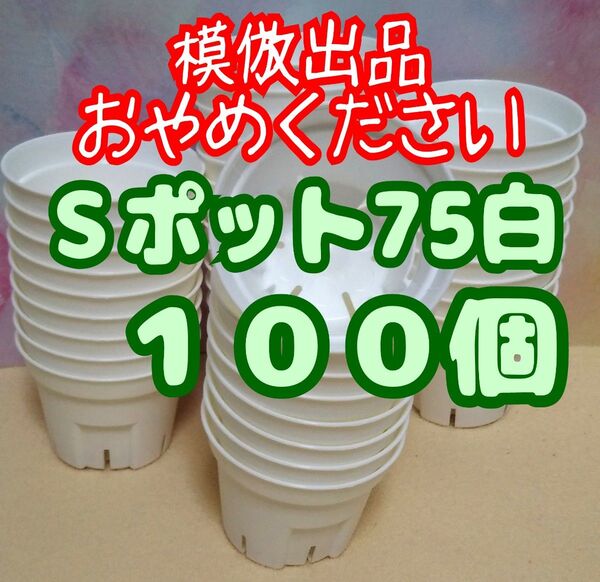 《Sポット75》 白 100個 スリット鉢 プラ鉢 2.5号相当 植木鉢 多肉植物 プレステラ 丸