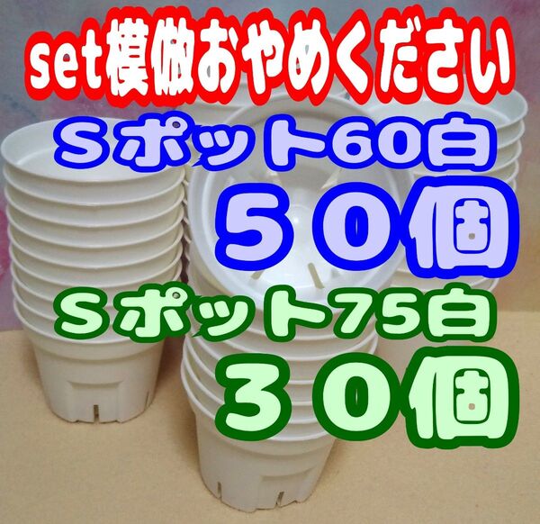 Sポット60白50個・75白30個スリット鉢プラ鉢2号鉢・2.5号鉢相当 多肉プレステラ