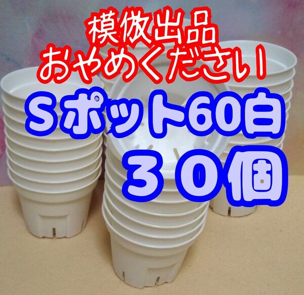 《Sポット60》 白 30個 スリット鉢 プラ鉢 2号相当 植木鉢 多肉植物 プレステラ 丸