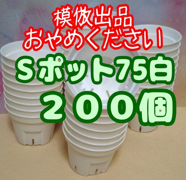 《Sポット75》 白 200個 スリット鉢 プラ鉢 2.5号相当 植木鉢 多肉植物 プレステラ 丸