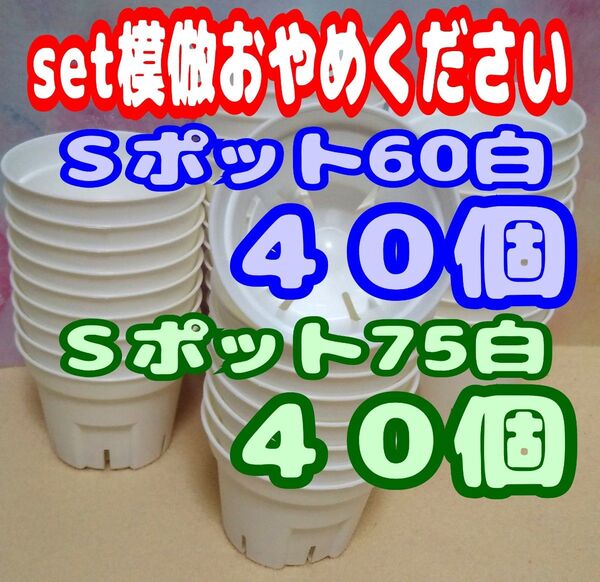 《Sポット60&75》 白各40個 プレステラ 丸 プラ鉢 スリット鉢 多肉植物 植木鉢 (2号・2.5号)