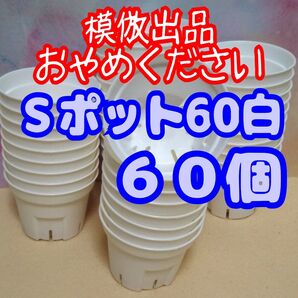 《Sポット60》 白 60個 スリット鉢 プラ鉢 2号相当 植木鉢 多肉植物 プレステラ 丸