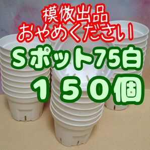 《Sポット75》 白 150個 スリット鉢 プラ鉢 2.5号相当 植木鉢 多肉植物 プレステラ 丸