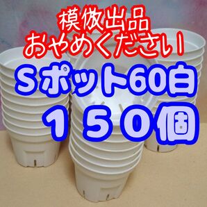 《Sポット60》 白 150個 スリット鉢 プラ鉢 2号相当 植木鉢 多肉植物 プレステラ 丸