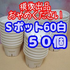 《Sポット60》 白 50個 スリット鉢 プラ鉢 2号相当 植木鉢 多肉植物 プレステラ 丸