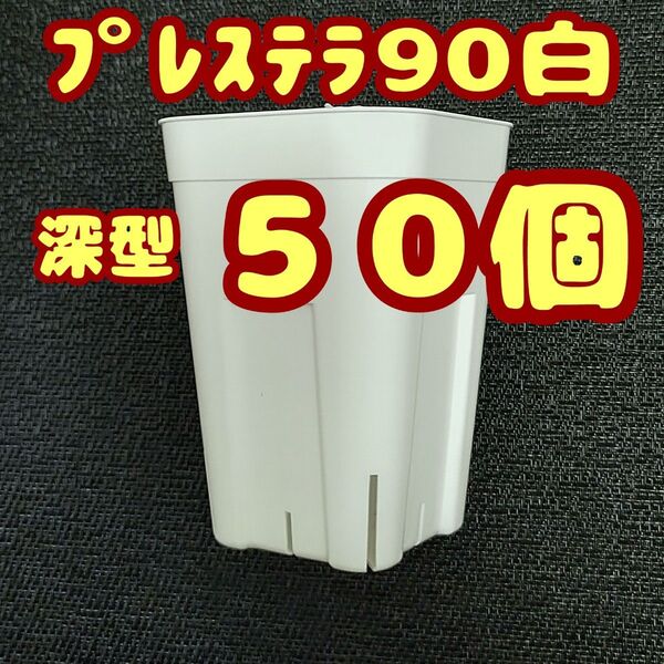 プレステラ深鉢90 白 50個 プラ鉢 スリット鉢 多肉植物