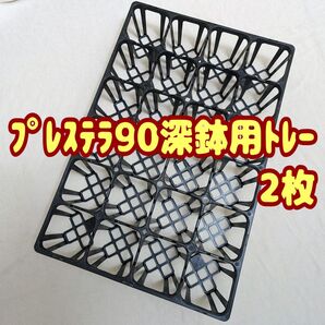 プレステラ90深鉢 専用システムトレー 2枚! プラ鉢 スリット鉢 多肉植物