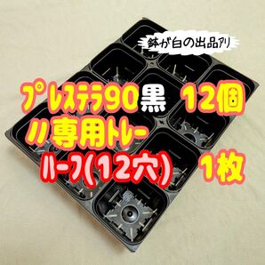 《プレステラ90黒12個+専用システムトレー:ハーフ1枚》プラ鉢 スリット鉢 多肉植物
