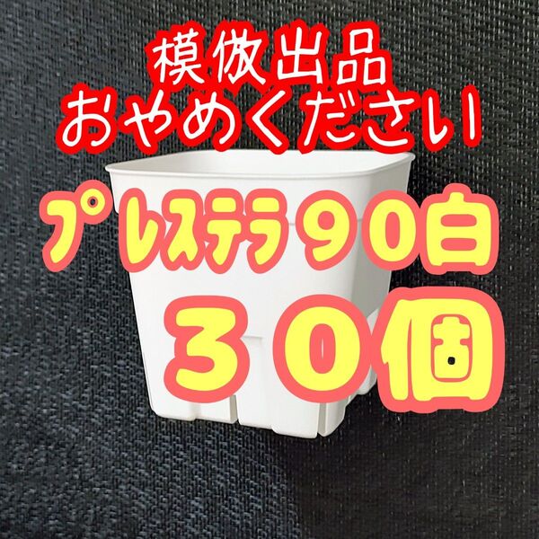 《プレステラ90》白 30個 プラ鉢スリット鉢 多肉植物 植木鉢 【3号鉢】 相当