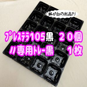 《プレステラ105黒20個+専用システムトレー黒1枚》 プラ鉢 スリット鉢 多肉植物