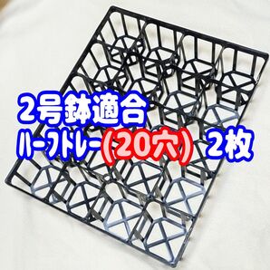 【システムトレー:ハーフ】2枚! 2号鉢相当 プラ鉢 スリット鉢 プレステラ 多肉植物 八角鉢2Y対応可