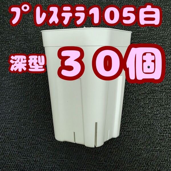 プレステラ深鉢105 白 30個 プラ鉢 スリット鉢 多肉植物