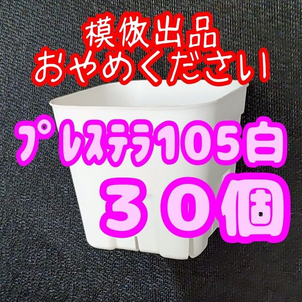 《プレステラ105》白 30個 スリット鉢 プラ鉢 3.5号鉢 相当 多肉植物