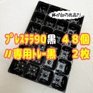 《プレステラ90黒48個+専用システムトレー黒2枚》 プラ鉢 スリット鉢 多肉植物