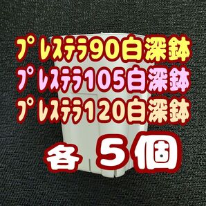 プレステラ深鉢90&105&120 白各5個 プラ鉢スリット鉢 多肉植物
