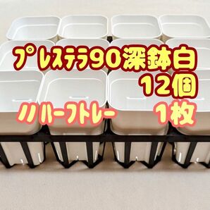 プレステラ90深鉢白12個+90専用ハーフトレー1枚 プラ鉢スリット鉢多肉植物