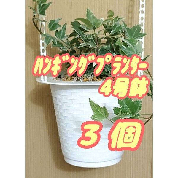 ハンギングプランター4号鉢【5T-4】3個 プラ鉢 吊鉢 多肉プレステラ観葉植物