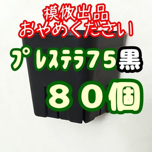 《プレステラ75》黒 80個 プラ鉢 スリット鉢 多肉植物 植木鉢 2.5号鉢 相当