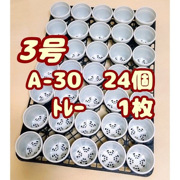 プラ鉢【A-30】24個+専用システムトレー1枚 スリット鉢プレステラ多肉植物