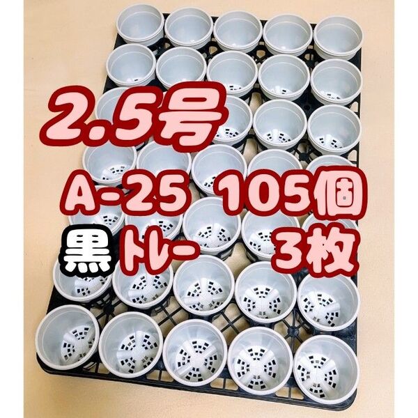 プラ鉢【A-25】105個+専用システムトレー黒3枚スリット鉢プレステラ多肉植物