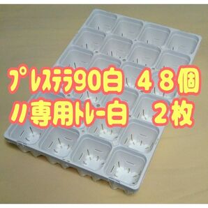《プレステラ90白48個+専用システムトレー白2枚》 プラ鉢 スリット鉢 多肉植物