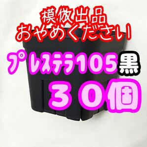 《プレステラ105》黒 30個 スリット鉢 プラ鉢 3.5号鉢 相当 多肉植物