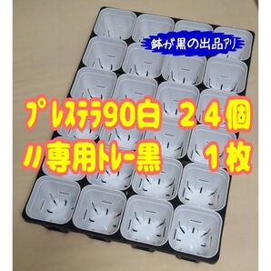 《プレステラ90白24個+専用システムトレー黒1枚》 プラ鉢 スリット鉢 多肉植物