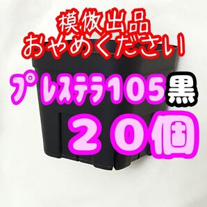 《プレステラ105》黒 20個 スリット鉢 プラ鉢 3.5号鉢 相当 多肉植物