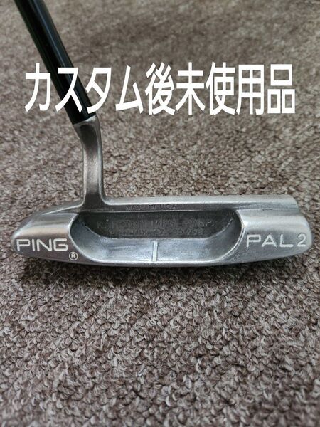 ピンパター ピン PAL2