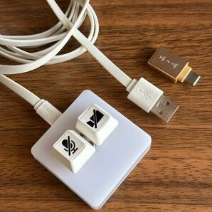 Mac専用 Zoom ミュートボタン コントローラー キーボード