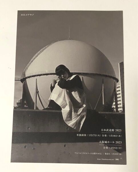 【非売品】カネコアヤノ フライヤー 2023 『タオルケットは穏やかな』 日本武道館 大阪城ホール チラシ A5サイズ