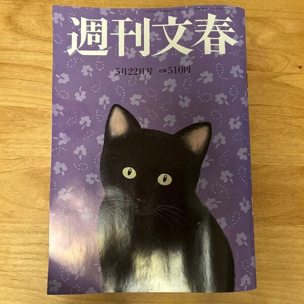 週刊文春 2025年 5/22号新品 雑誌20404